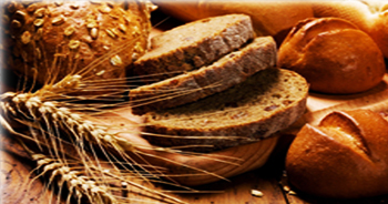 food-industry food-industry