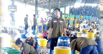 seafood-processing seafood-processing